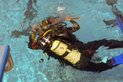 20190519-Gersprenztaucher-10-Jahre-Reinheim-Freibad-1231