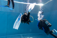 20210905-Training-KVT-3398