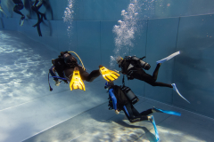 20210905-Training-KVT-3430