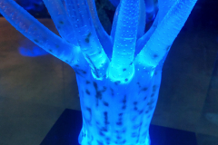 20221030_135410