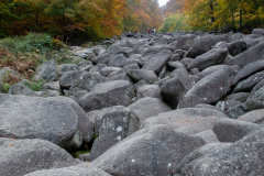 20211030-Felsenmeer-5711