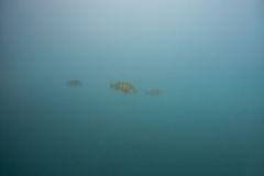 20210717-Hunsfels_Luisa-2496